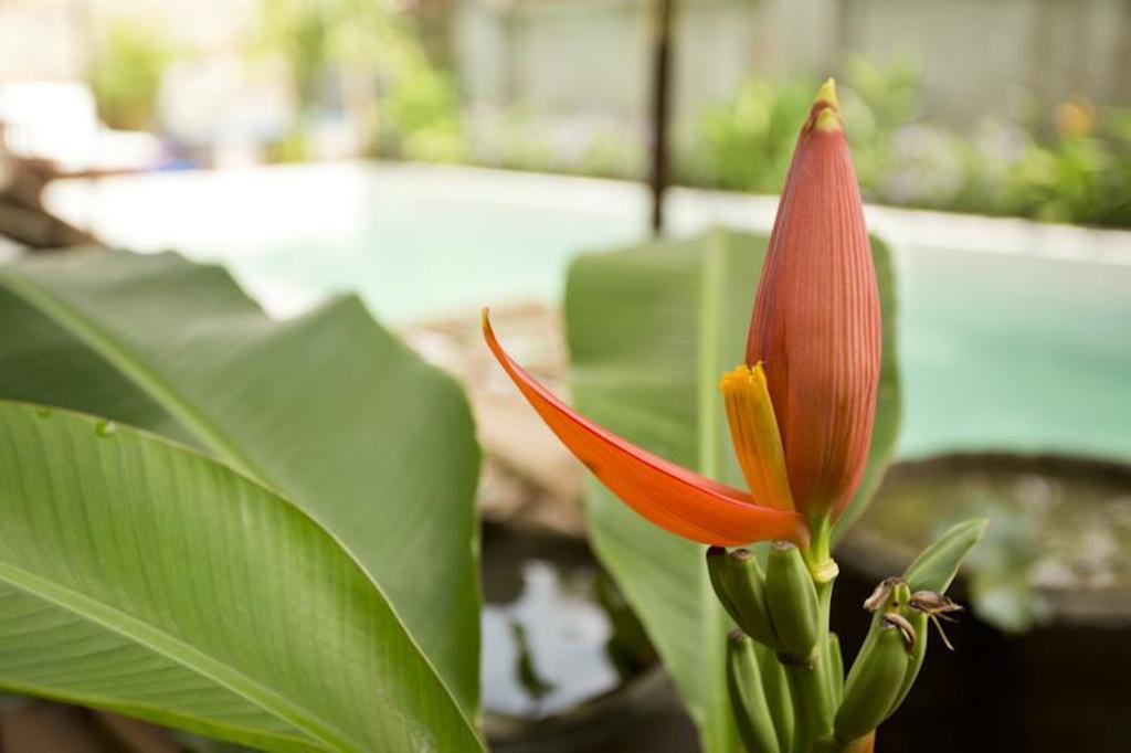 Casa Villa Independence Phnom-Penh Buitenkant foto